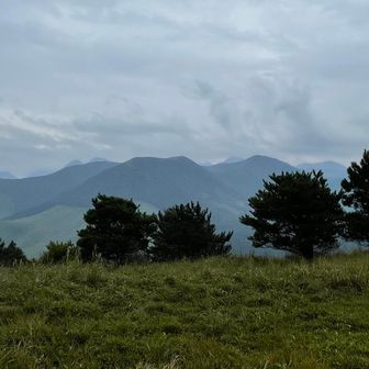 ここまで笹やススキに埋もれながら来たのに、山頂だけはスッキリ開けてました✨
目の前はくじゅうの山々
ピークも獲ったし、さ！帰ろう〜♪