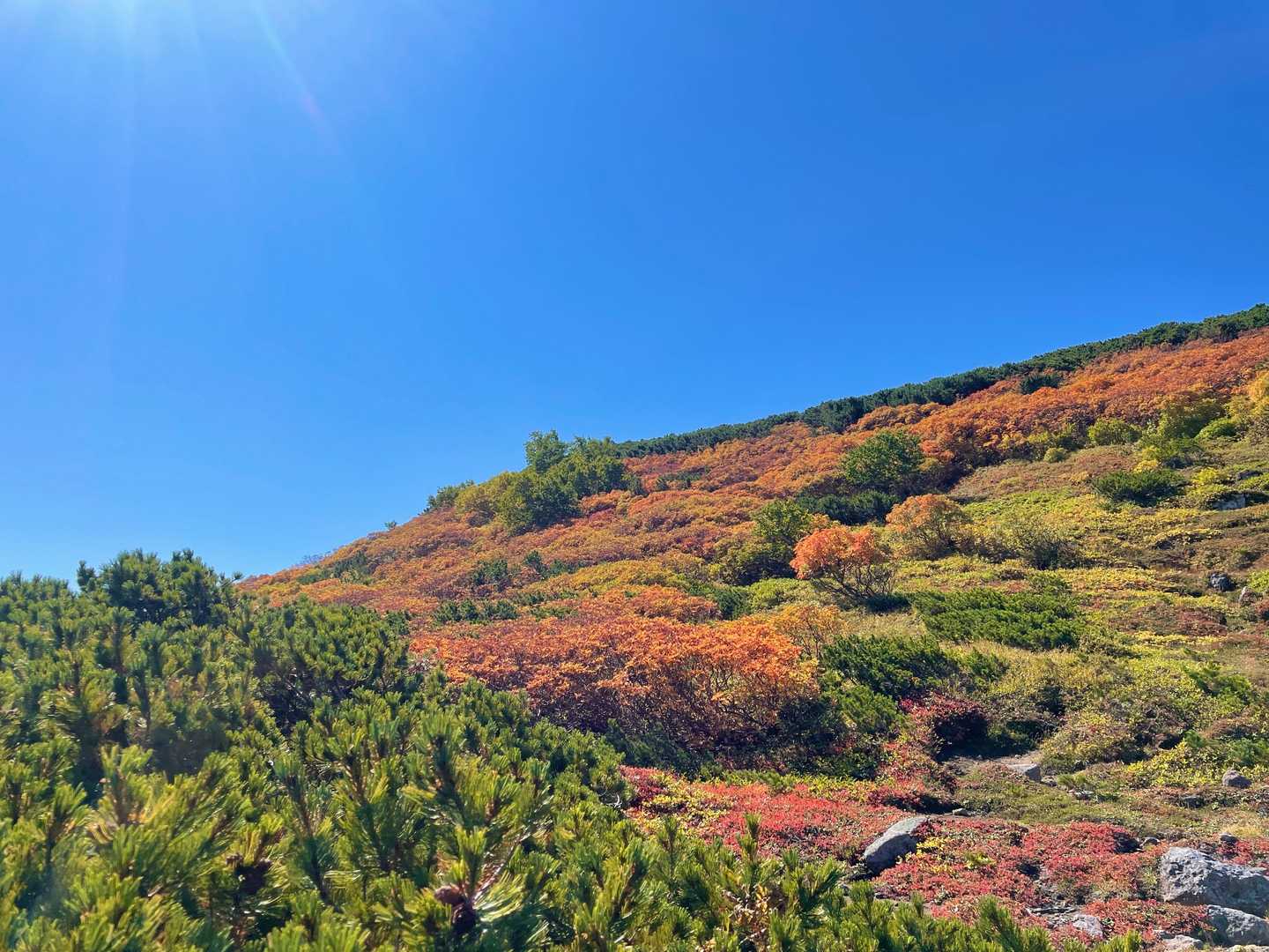赤岳登山口-第一花園-赤岳-小泉岳 往復コースの写真