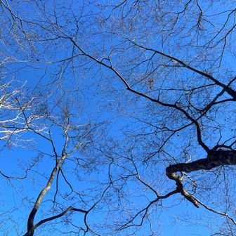 雲一つないいい天気！
