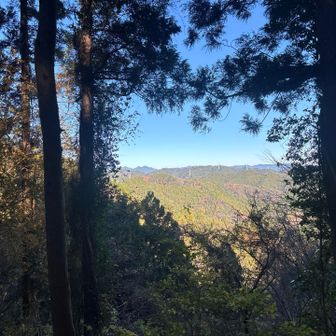 先へ進んで木々の間から秩父方面
真ん中の山は伊豆ケ岳やね
秩父でも人気の山ですよー