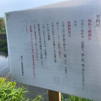 宇利川の堤防道路しばらく歩く。かなり気持ちが良い。