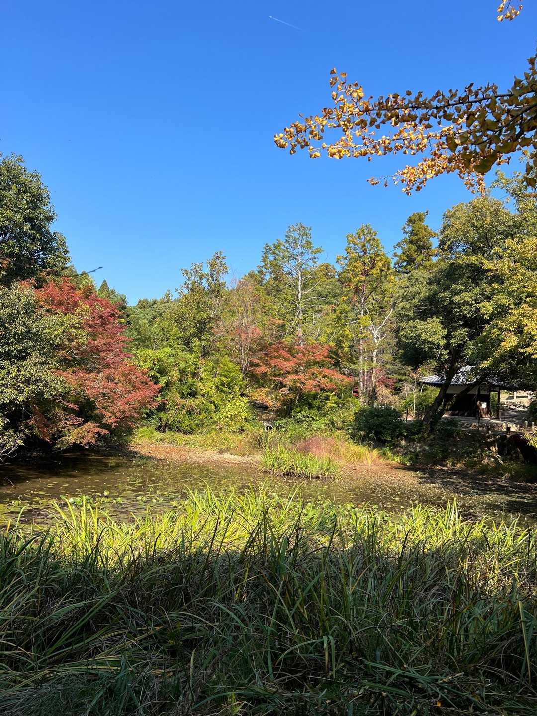 御室仁和寺バス停-成就山-御室八十八個所結願所 周回コースの写真
