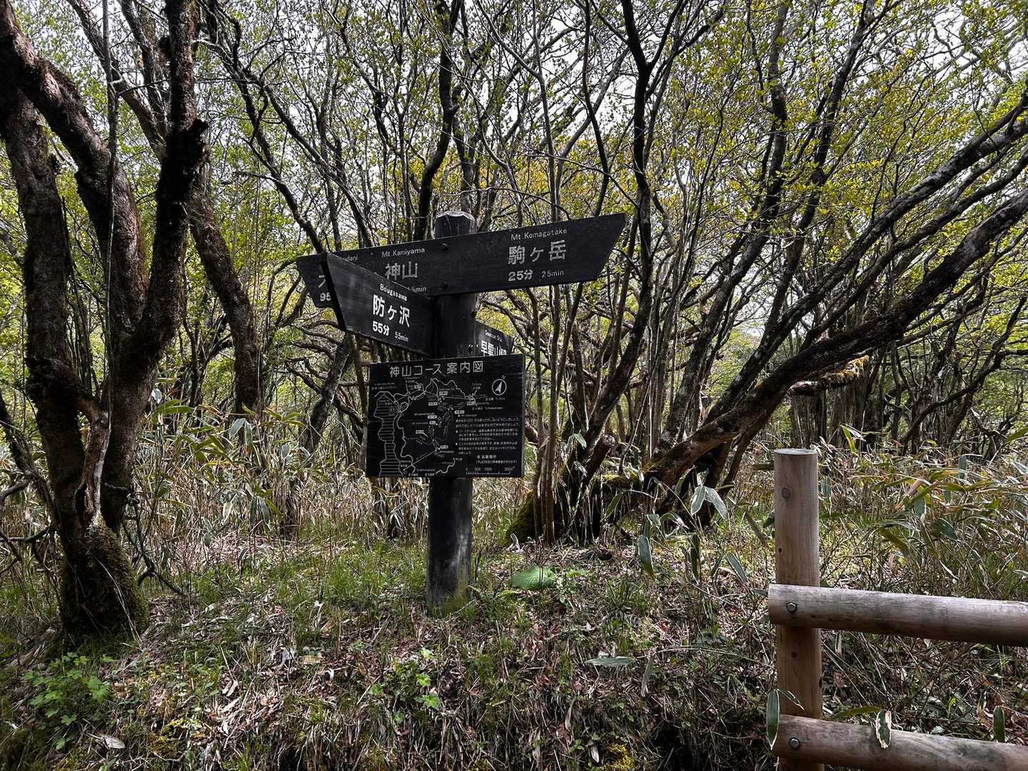分岐
先に駒ヶ岳に寄ってトイレお借りしました