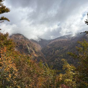 5合目からの眺め　🍁
