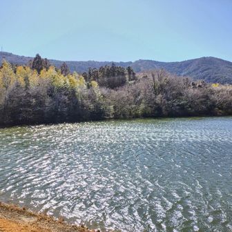 風があるから水面が波打ってキラキラ✨