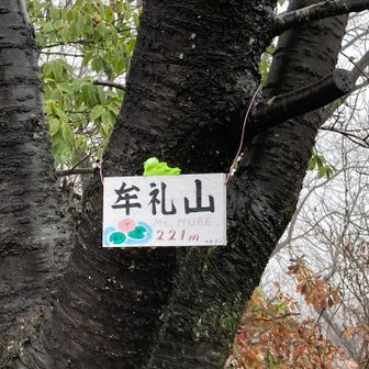 かわいい山名板