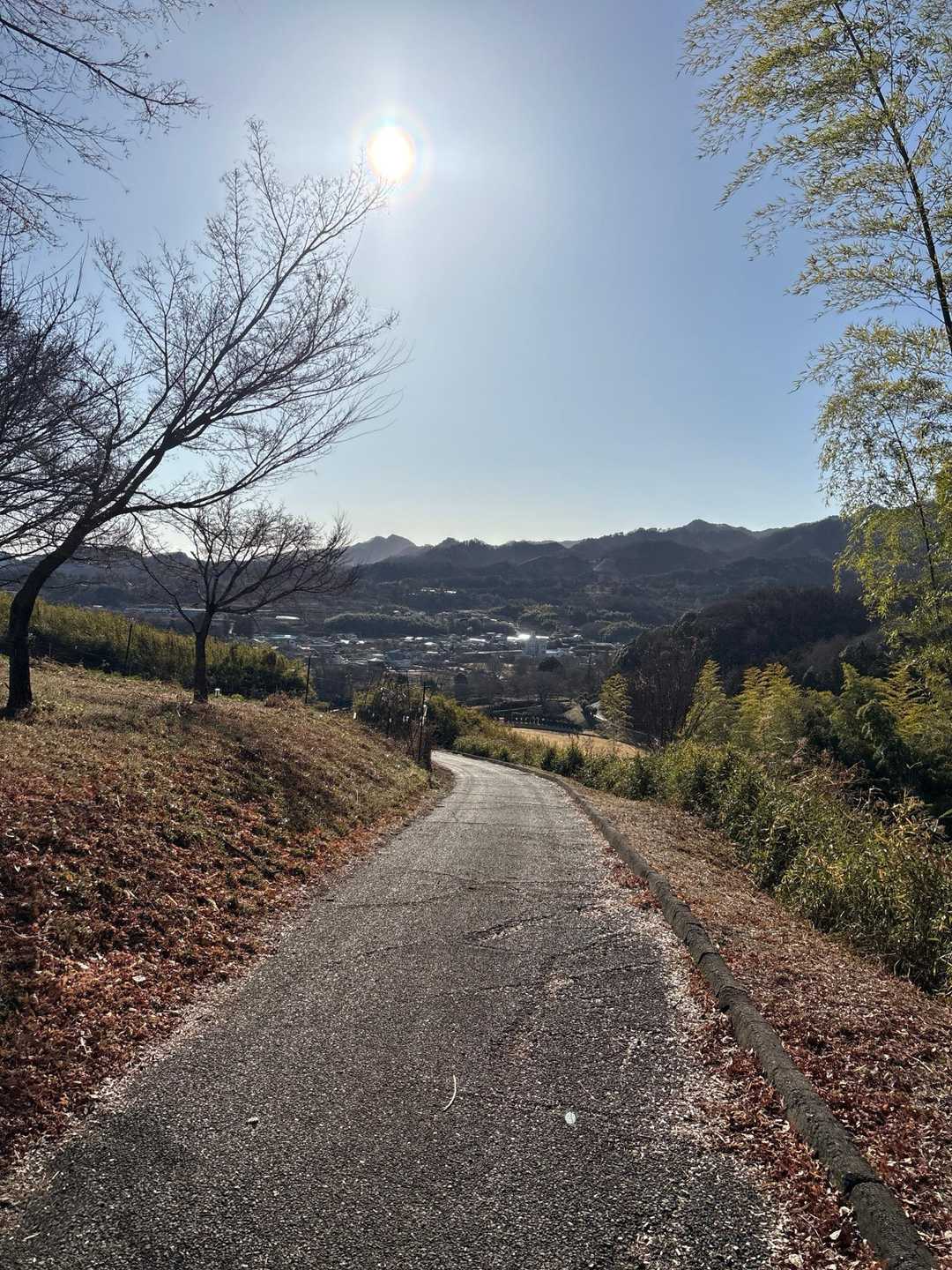 整備された道🚶‍♀️
