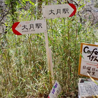 その後急坂を降りて麓へ