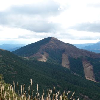 城ヶ岳
先ほどまでいました。