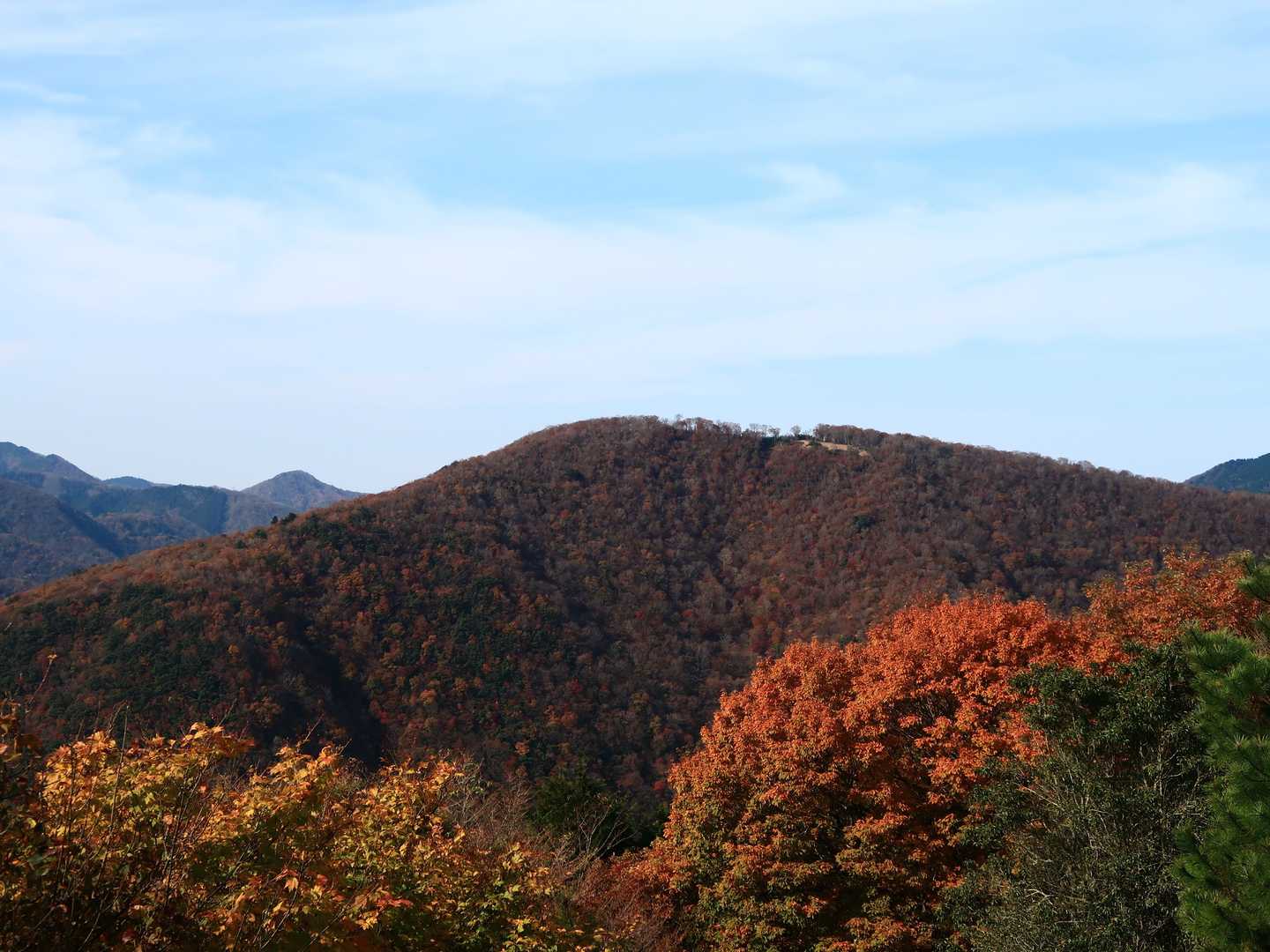 高塚山も綺麗やなー🍁