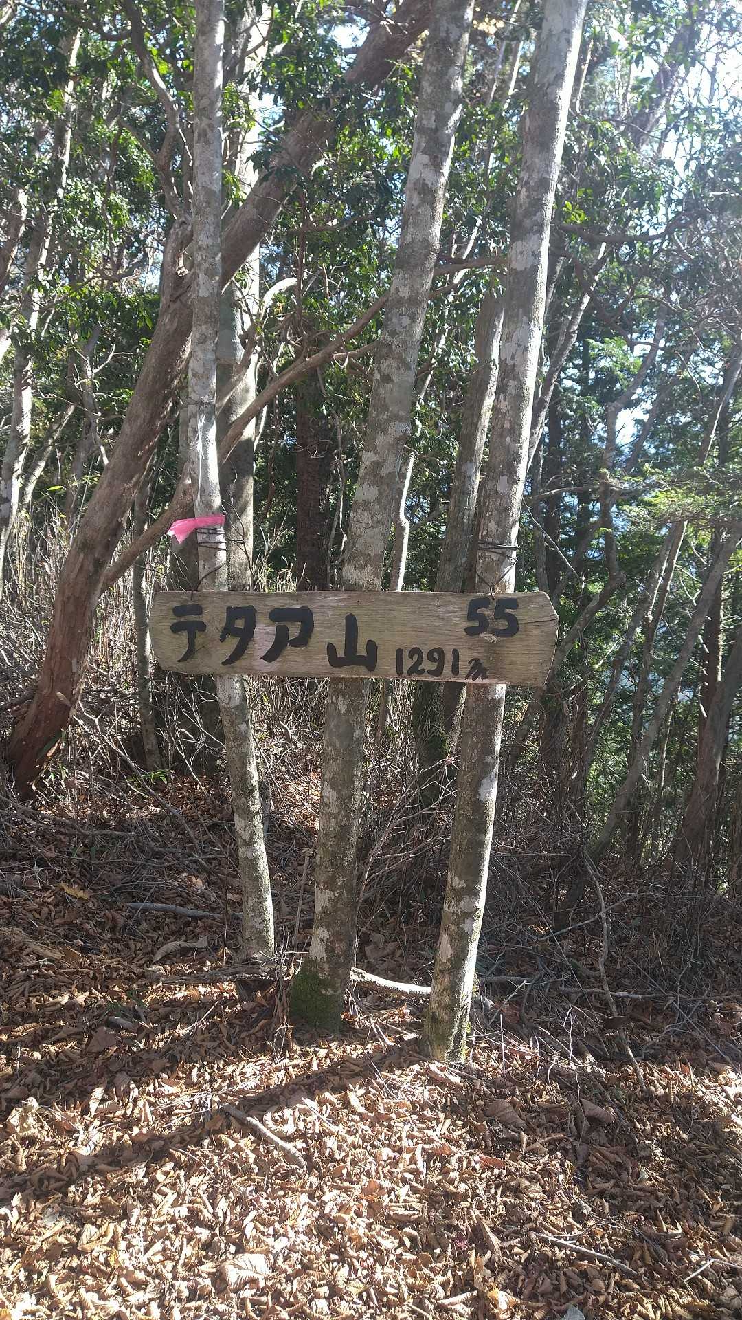 テタア山ピーク。