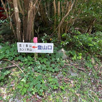 帰ってきました。
いつも、家族のお世話を頑張っている友だちと、田畑作業から開放されたい友だちと、一緒に登りました。
誰にも会わず、寂しい山でした。熊に会わないで良かった。
お茶して帰ろうと、…