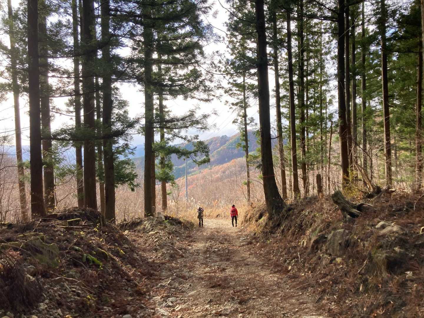 まもなく下山☺️
冷えた体に温泉が待っています♨️