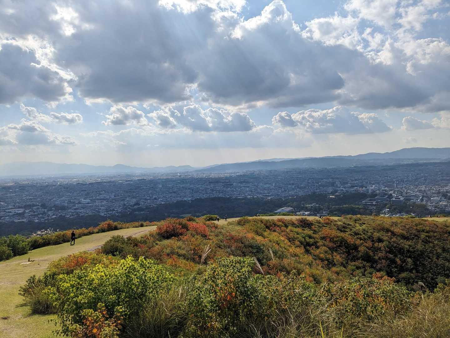 いい感じに紅葉が進んできてます🍁