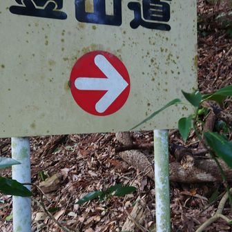 引き返し、今度は反対の林道を進もうとした私たち😓
運転手さんがわざわざブルドーザーから降りてきて「違うよ！登山道は看板の後ろから入るんだよ！」と教えてくださる
え？ここから登るの？と入ったら登山道の看板が現れた😂
運転手さんありがとうございました