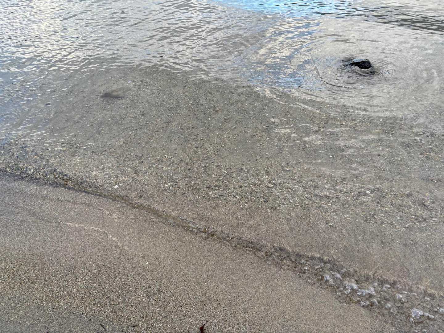 めっちゃきれいな水