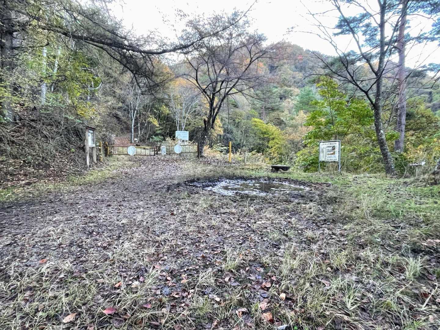 車は多分ここまでなんでしょうね😅　私の軽自動車🚗では嫌です。