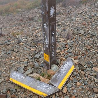 中道分岐
当然ながら三俣蓮華岳を登ります！