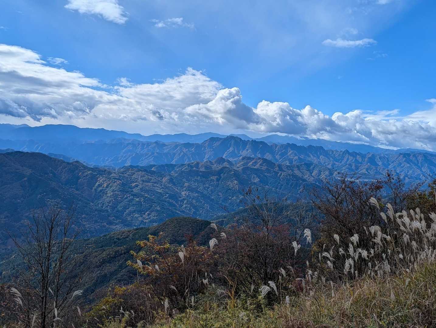 山頂から南側に見える奥武蔵の山々。