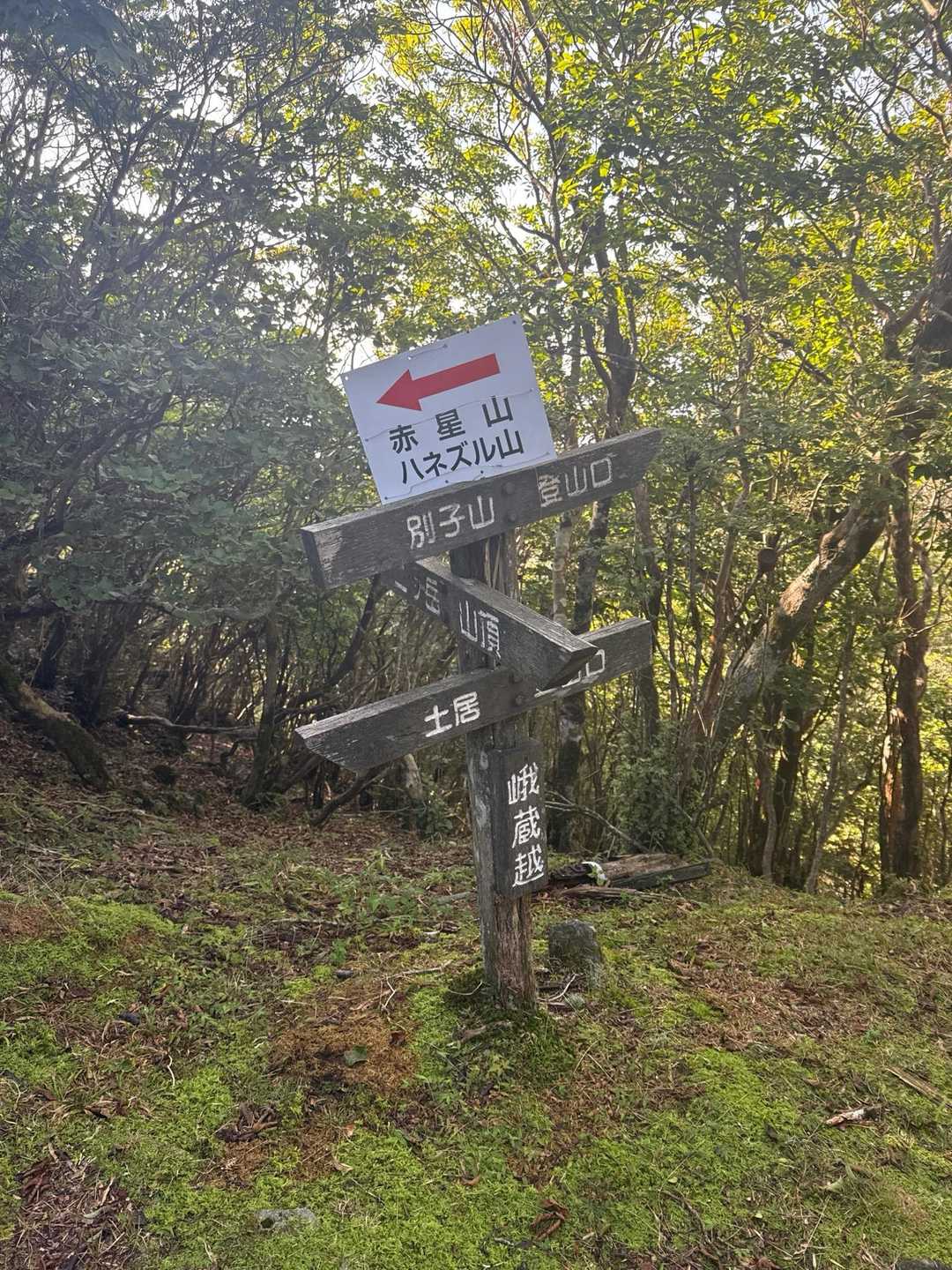 がぞうごえ
すごい響き
こっから登山道が本気だす