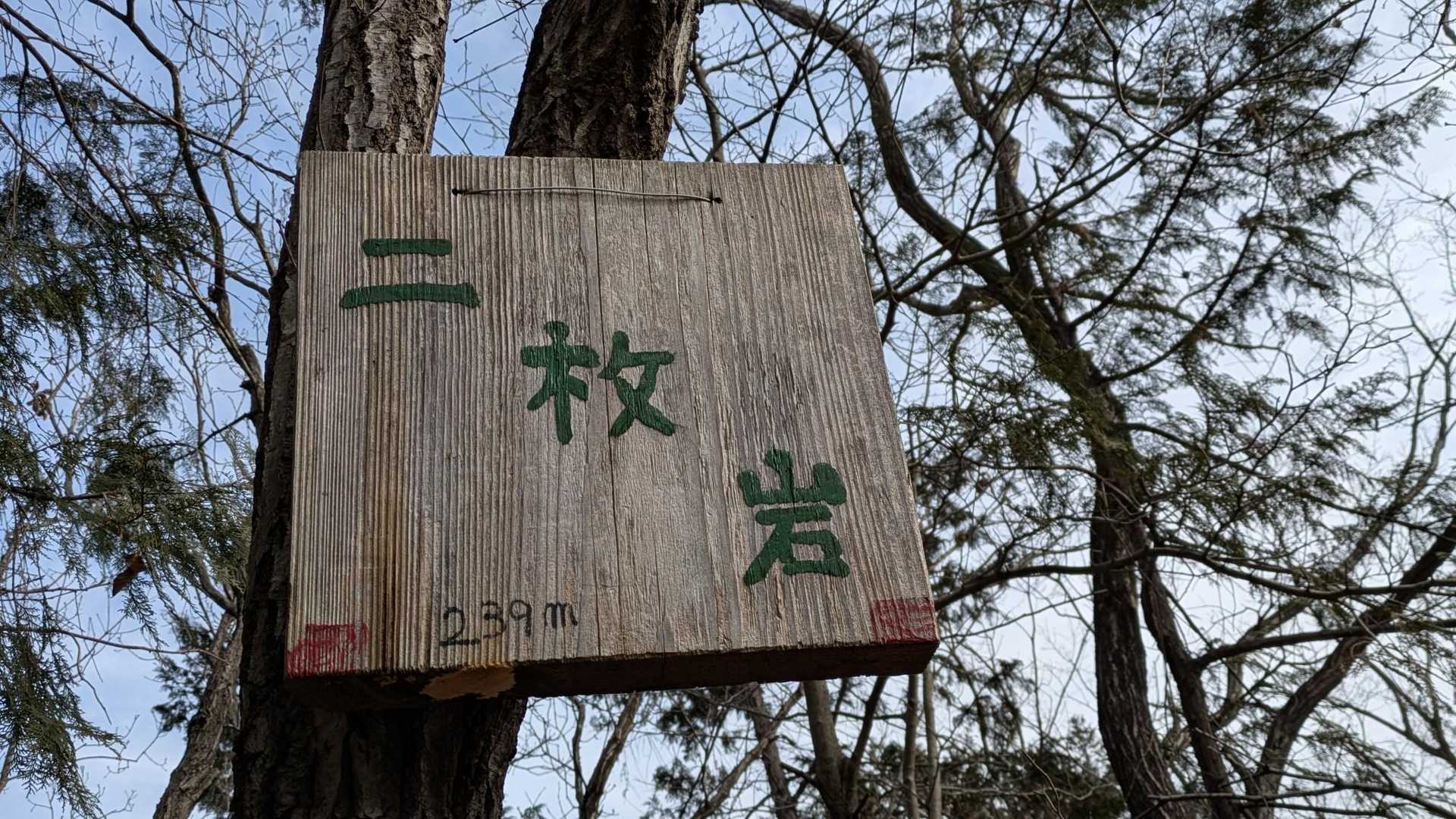 二枚舌---
かと思えば
二枚岩でした😛