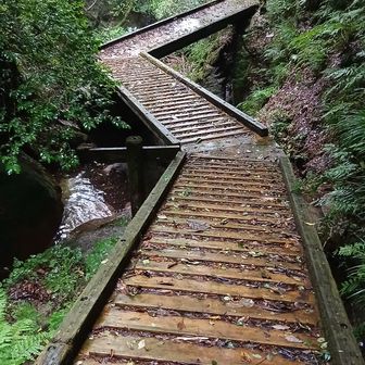 雨天滑るので注意