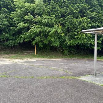 登山道入口です