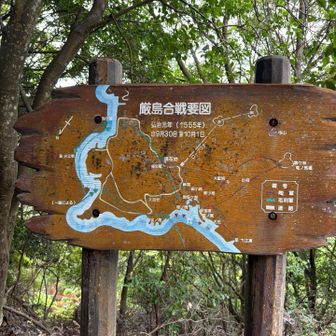 途中にあった「厳島合戦要図」⚔️
弘治元年（1555年）、ここ宮島が毛利元就と陶晴賢の戦いの舞台に。
山歩きしながら歴史にも触れられる弥山です⛰️🌿