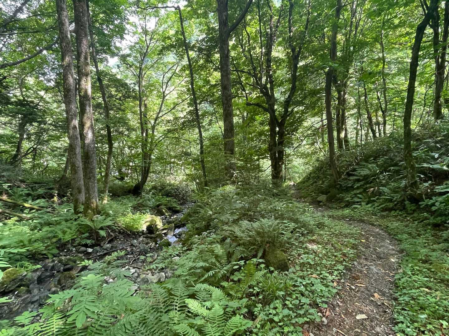 前常念岳 | 視界を埋め尽くす巨岩帯、限界の先に現れる美しき北アルプスの主脈の写真
