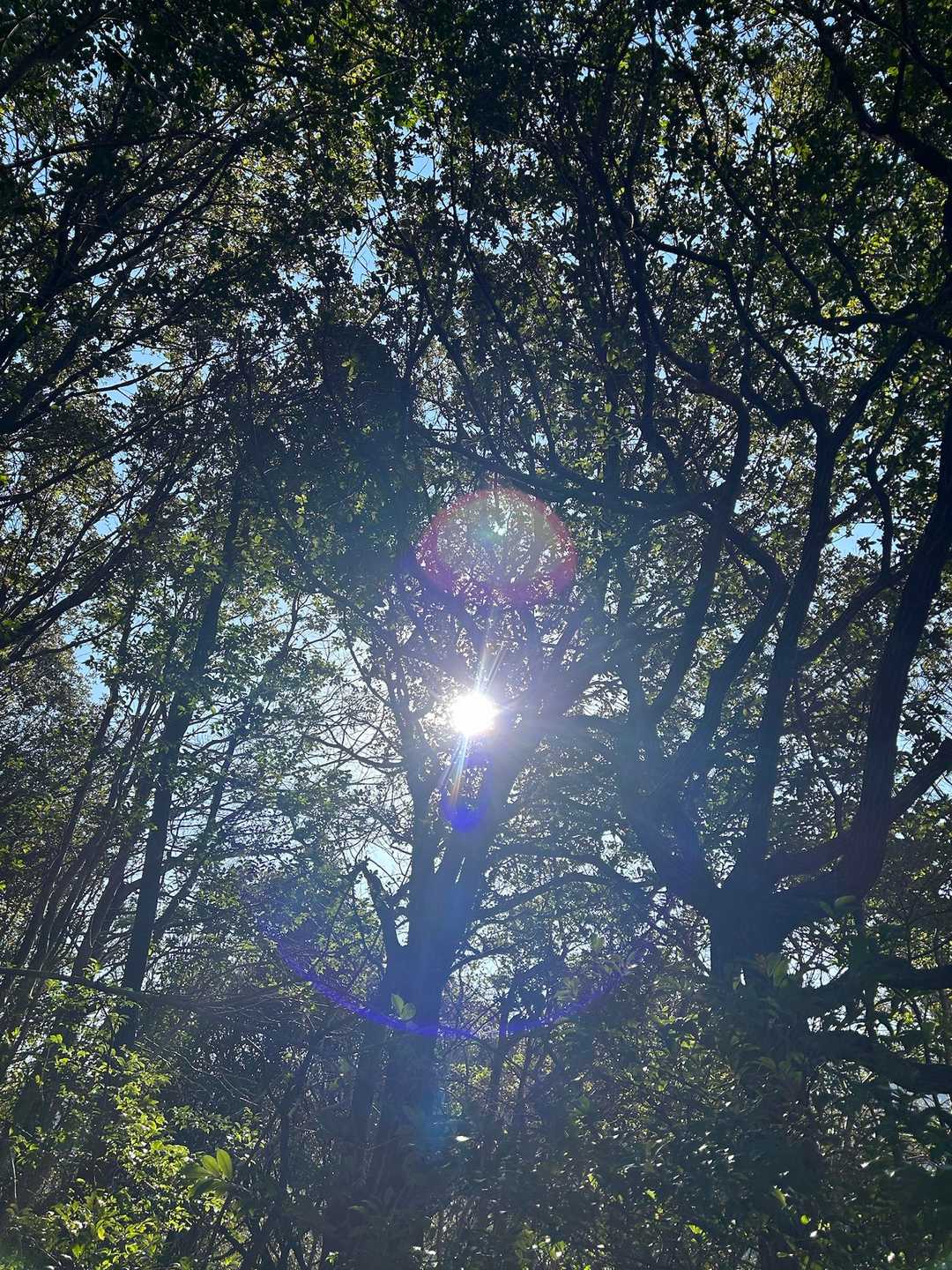 キラリン太陽☀️
ええお天気で良かった🤗