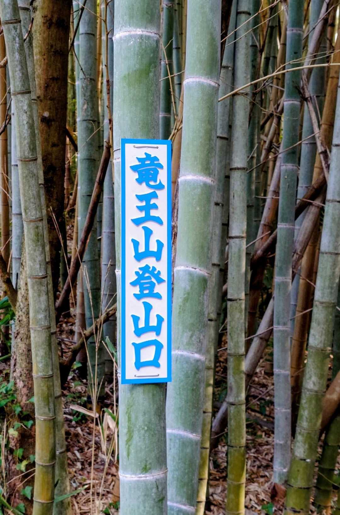 こんなの