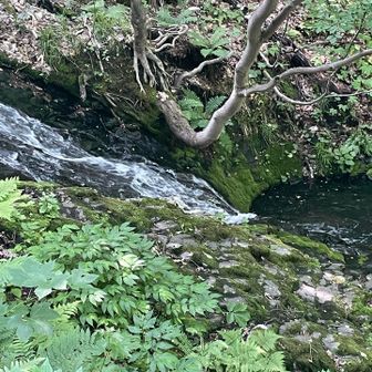小さな滝と滝壺八垂別の滝