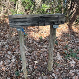 こちらも山頂の少し前まで舗装路でした😳