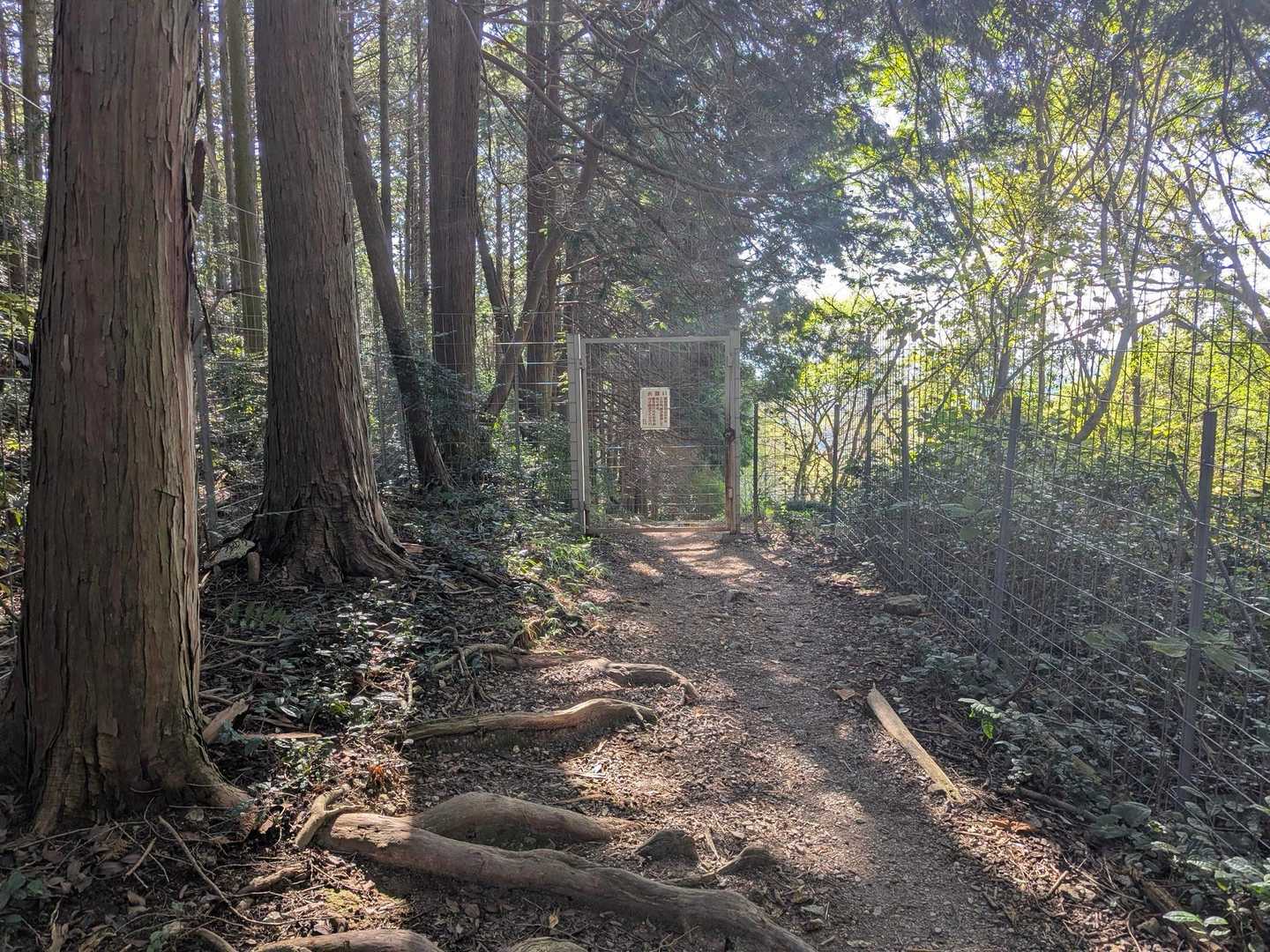 ゲートアウト🚶‍♂️