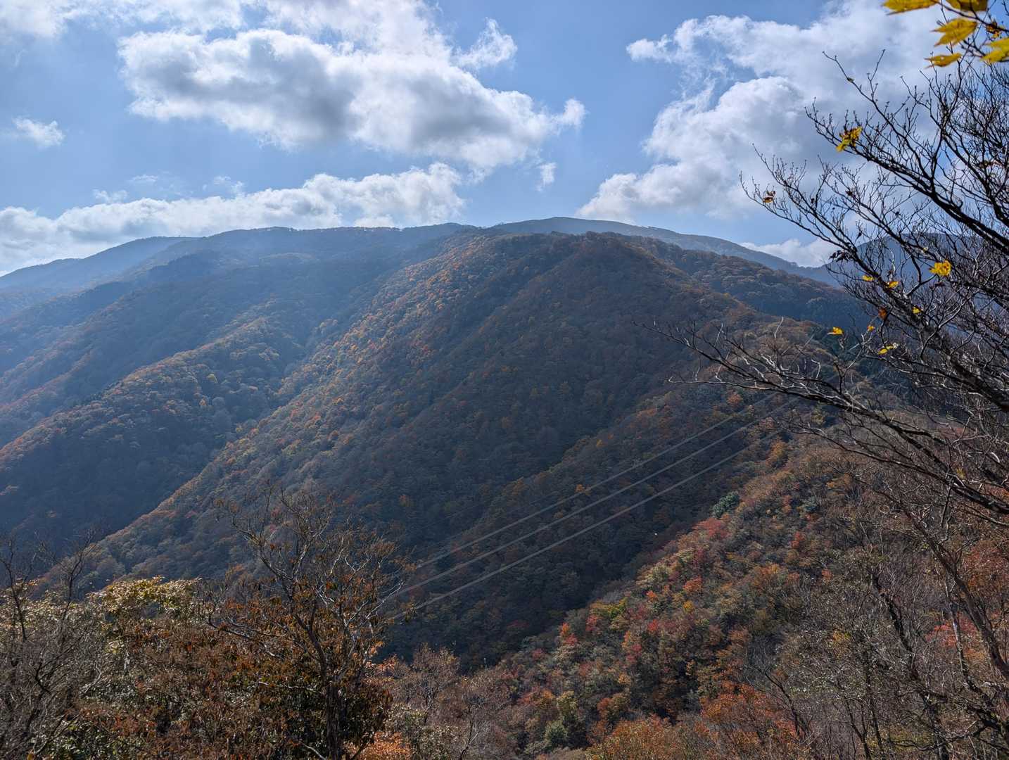 鉄塔の広場から南の眺め。
⛰️鈴北岳へとつながる鞍掛尾根が見えています。
最奥には右の鈴北岳～御池岳への雄大な山容が見えています✨
一番右の樹木に隠れているまあるい山容の山は⛰️鈴ヶ岳です。
