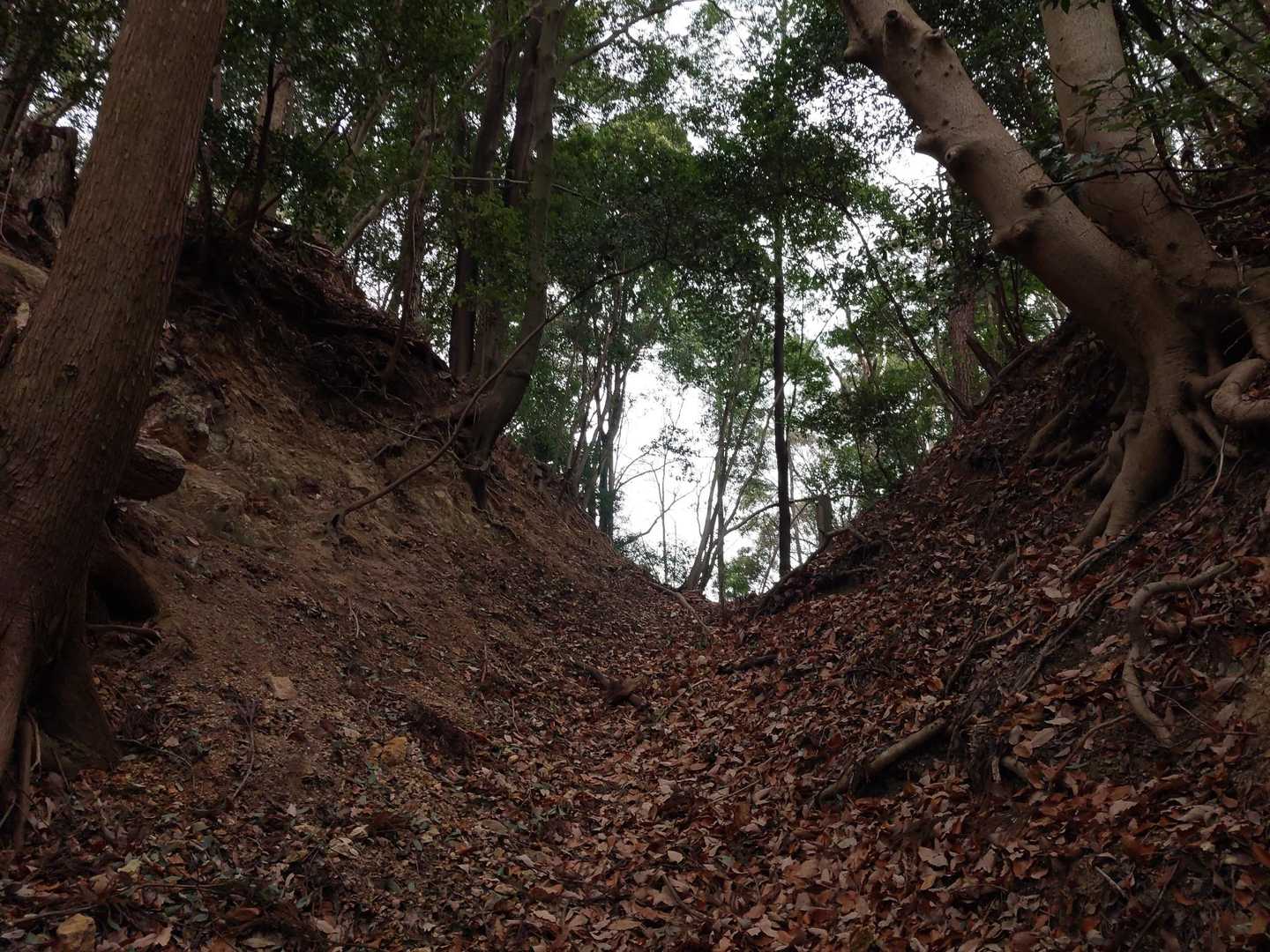 峠。名前はついていなのでしょうか？