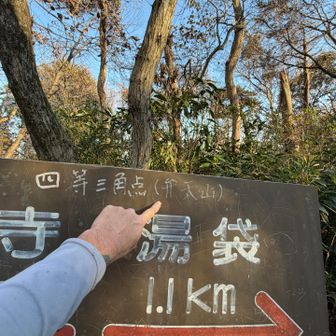 弁天山に到着です◎
こちらも山名板も眺望も茄子。🤷‍♀️