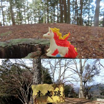 生駒山(駒山)は 本丸跡でしたが通り過ぎてました
ギャロップは二の丸跡で撮影 
それと 二の丸から道を間違え 引き返した私 軌跡は参考になりませんね