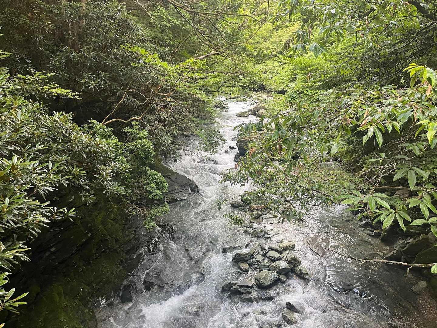 見てるだけで涼しく感じる