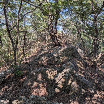 この岩を越えたら山頂か？