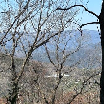 腰越城方面(中央)その向こう側に安戸城　白い屋根はゴルフ場クラブハウス