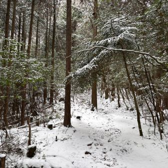 あーもう降りたくないのでスピード落とす