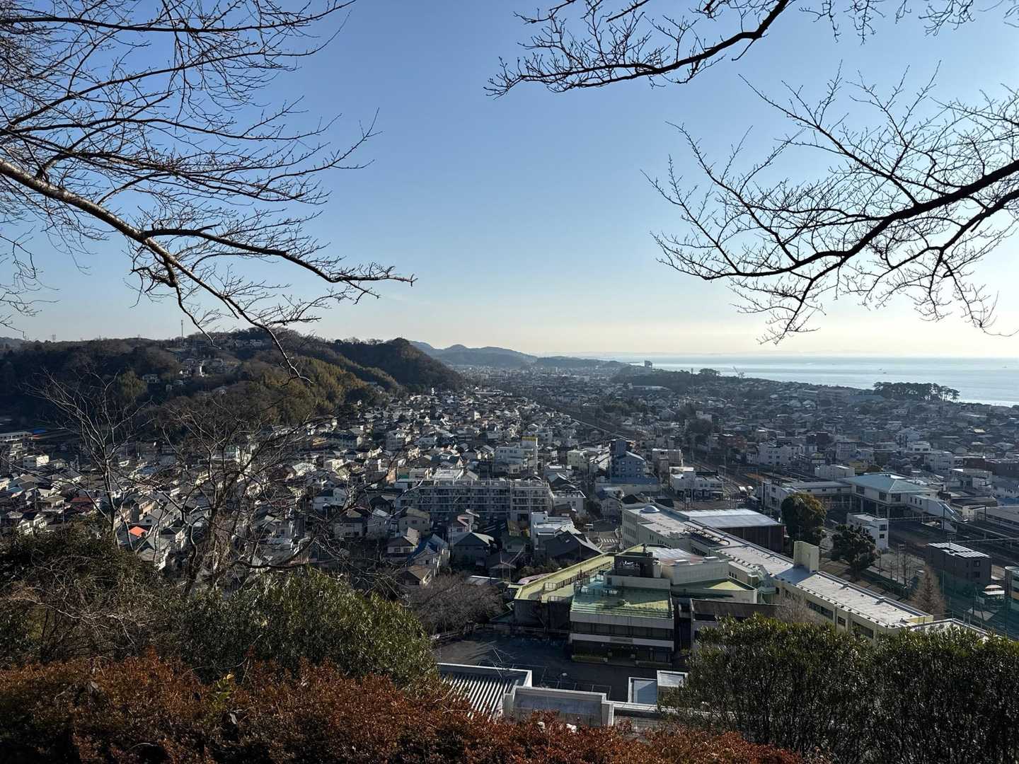 展望台から湘南平方面。