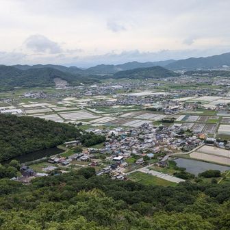 播州平野の田んぼ
日本の原風景？