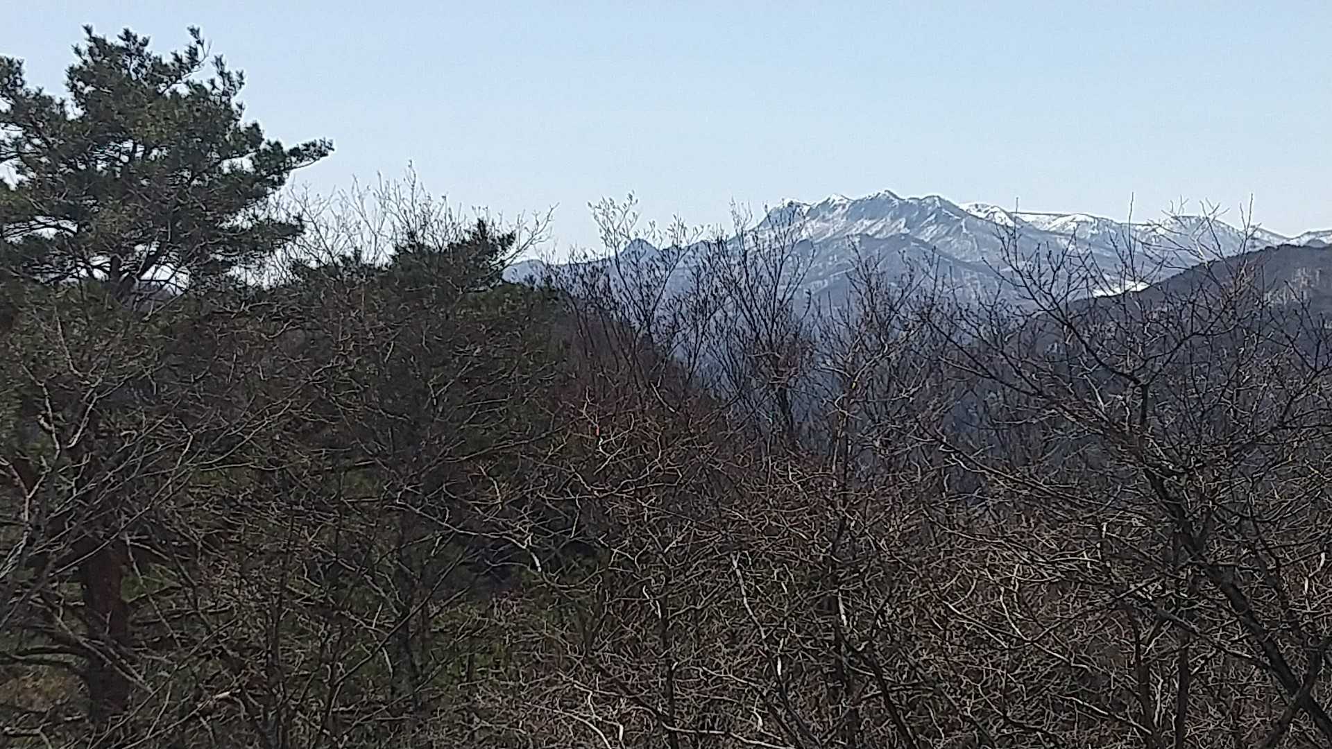 七ツ岳が見えます。