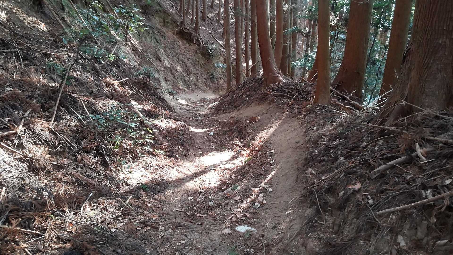 マウンテンバイクのトレース跡に気づく🚵