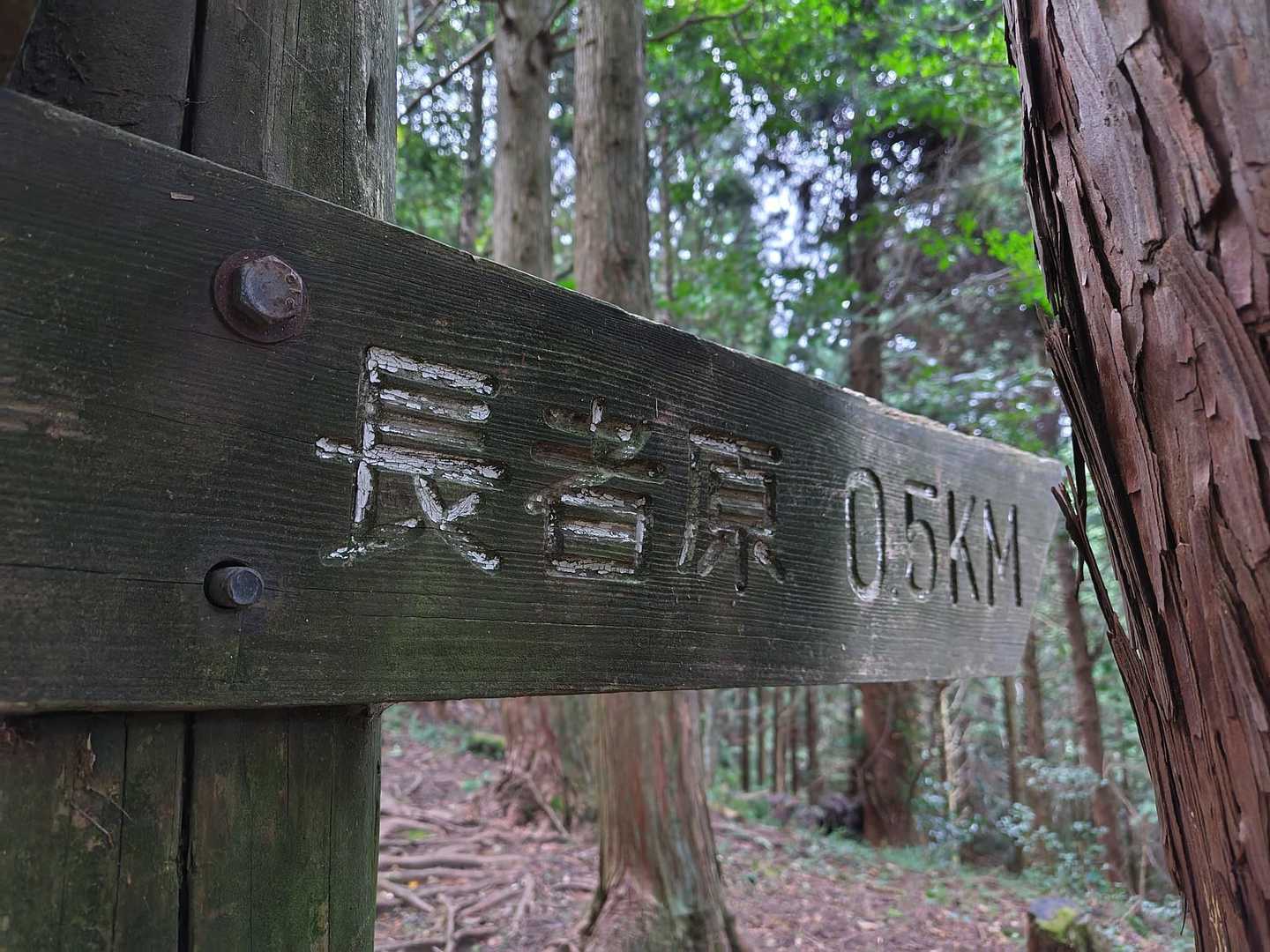 本当に⁉️