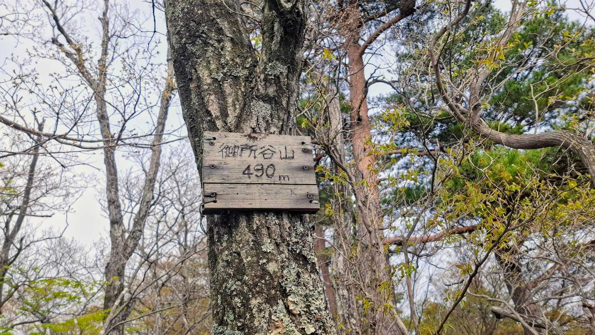 
最後のPeak 御所谷山
