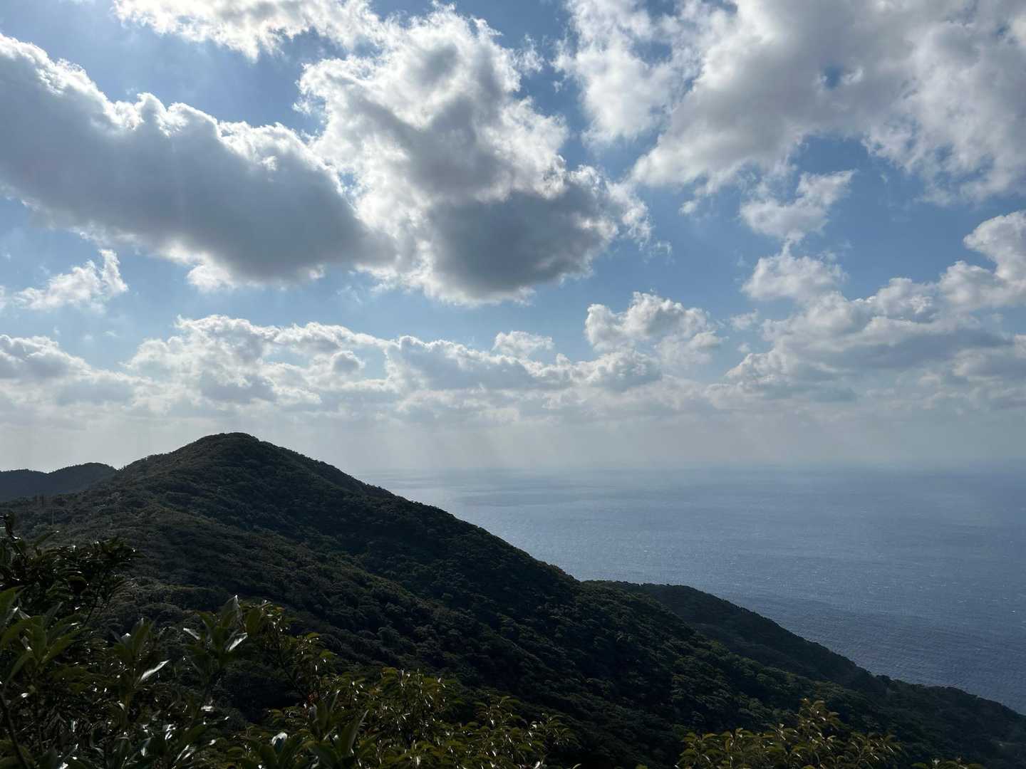野間岳 往復コースの写真