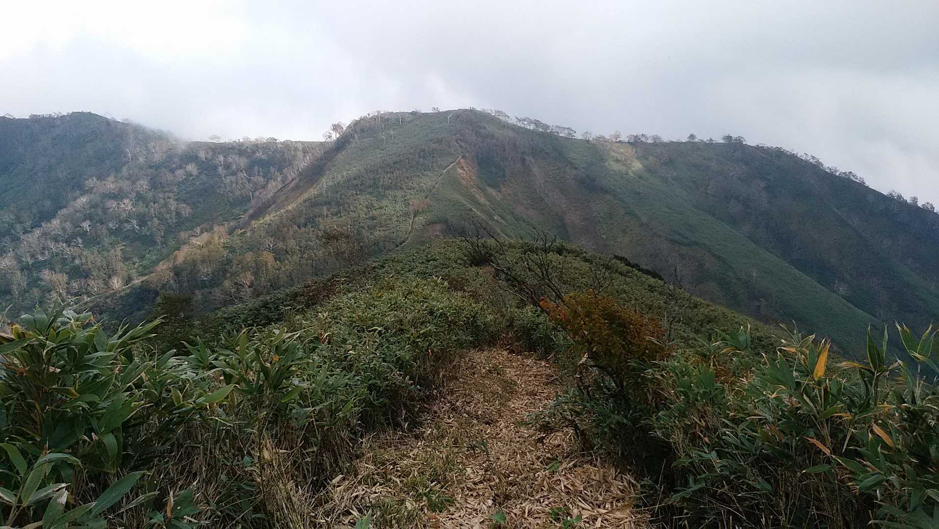 隈根尻山への道。